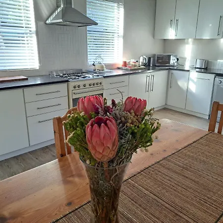 Garden Cottage In Constantia/Meadowridge Kaapstad Buitenkant foto
